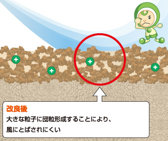 改良後 大きな粒子に団粒形成することにより、風に飛ばされにくい