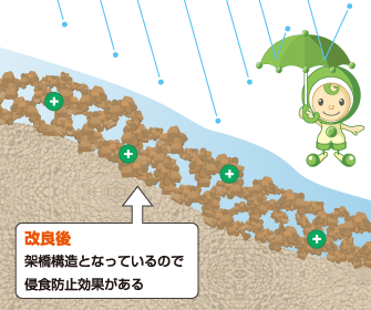 改良後　架橋構造となっているので侵食防止効果がある