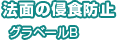 法面の侵食防止　グラベールB